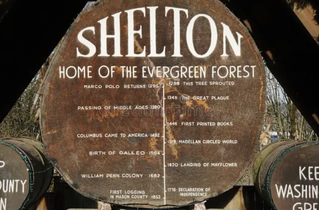 Shelton tree — a historic landmark found by Karen's grandfather